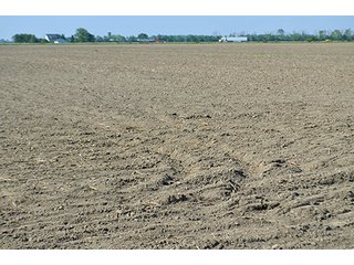Property photo 20 - LAND AUCTION - 215+/- ACRES OFFERED IN 6 TRACTS IN VAN WERT COUNTY, OHIO